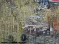 Imagine atasata: Bega - 2015.03.12 - 15.jpg